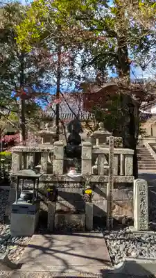 光明寺(粟生光明寺)(京都府)