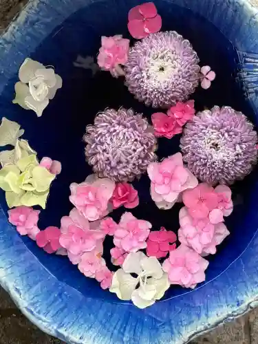 川越八幡宮(埼玉県)