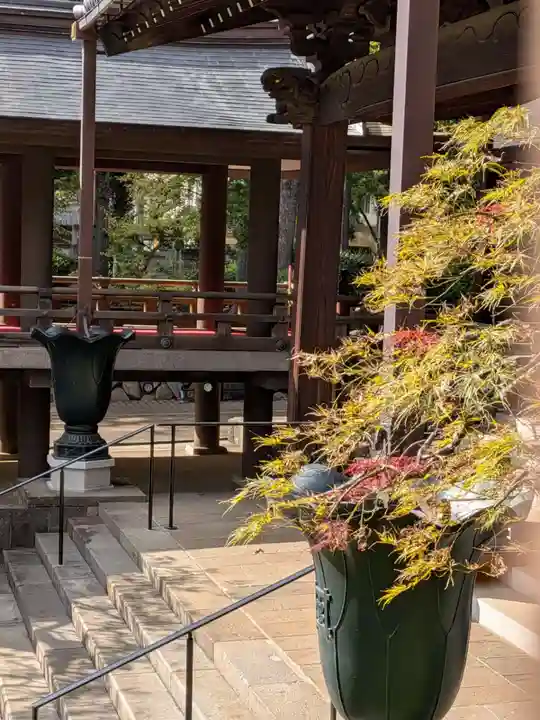 妙法寺(東京都)