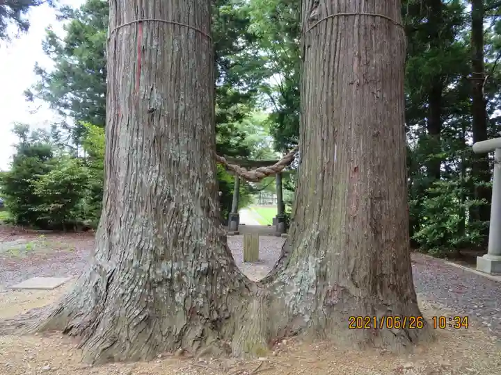 飯豊和気神社の自然