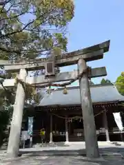千栗八幡宮(佐賀県)