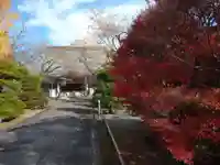 祇園寺(茨城県)