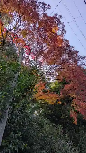 九帝王宮 萱野神社(滋賀県)