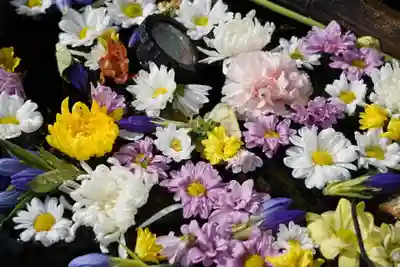 曹洞宗 永松山 龍泉寺の手水舎