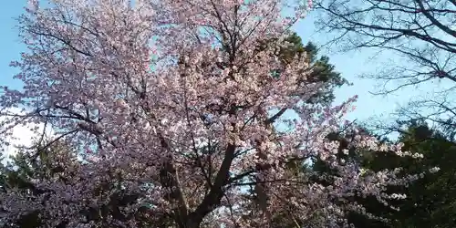 北鎮安全神社の自然