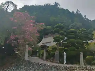 梅岩寺(東京都)
