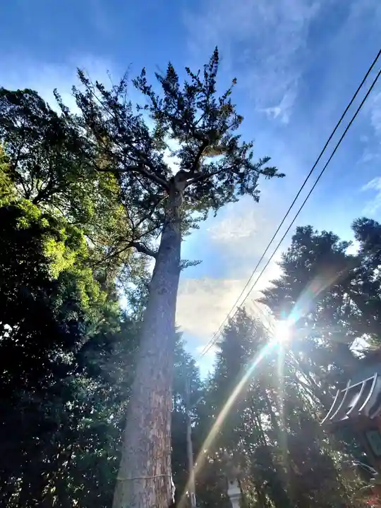 滑川神社 - 仕事と子どもの守り神(福島県)