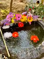 仙台大神宮の手水舎