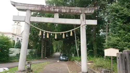 安房神社の鳥居