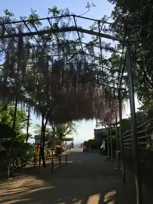 足利織姫神社(栃木県)