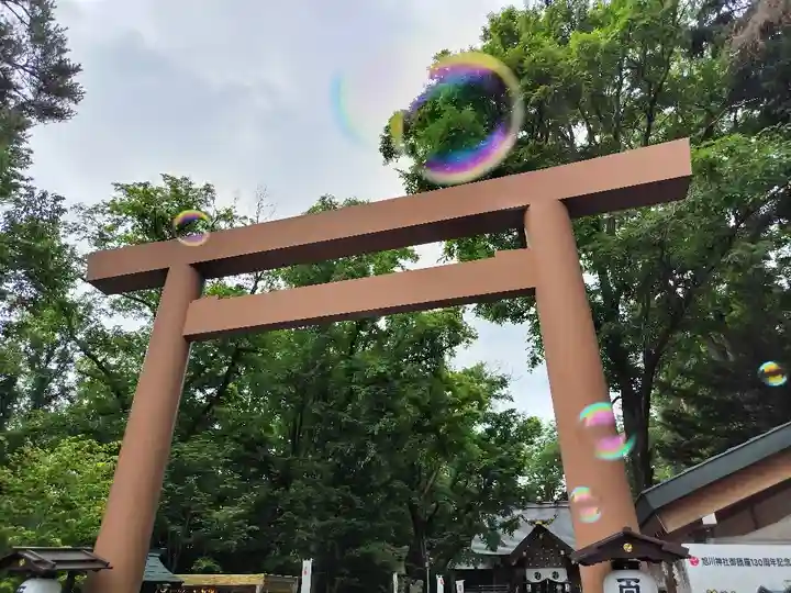 旭川神社の鳥居