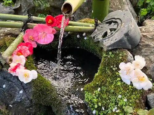 大豊神社(京都府)