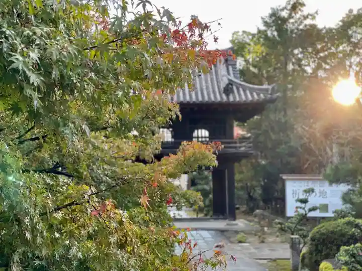 伊勢の国 四天王寺のその他建物