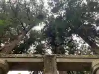 大宮温泉神社(栃木県)