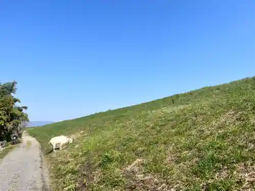 心鏡寺の{uncategorized: "未分類", other: "その他", undefined: "問題あり", building: "その他建物", grave: "お墓", sacred_gate: "鳥居", guardian: "狛犬", statue: "像", buddha: "仏像", history: "歴史", nature: "自然", garden: "庭園", animal: "動物", pagoda: "塔", temizu: "手水舎", mountain_gate: "山門・神門", sanctuary: "本殿・本堂", subordinate: "末社・摂社", art: "芸術", scenery: "景色", jizo: "地蔵", ema: "絵馬", goshuin: "御朱印", omikuji: "おみくじ", items: "授与品その他", amulet: "お守り", goshuincho: "御朱印帳", eats: "食事", festival: "お祭り", votive_dance: "神楽", shichigosan: "七五三参", wedding: "結婚式", experience: "体験その他", initially: "初詣", around: "周辺", anti_infection: "感染症対策"}