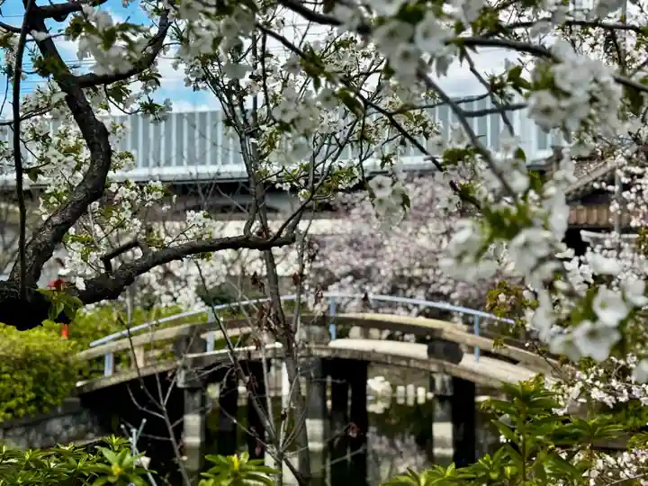六孫王神社(京都府)