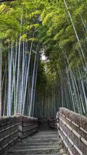 化野念仏寺(京都府)