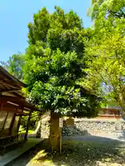 丹生川上神社（下社）(奈良県)