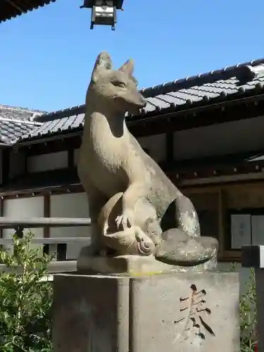 半田稲荷神社の狛犬