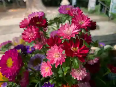滑川神社 - 仕事と子どもの守り神の手水舎