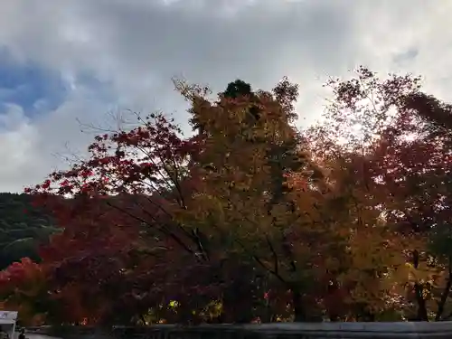 禅林寺（永観堂）の自然