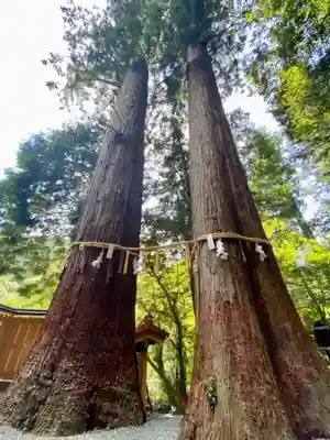 丹生川上神社（中社）(奈良県)