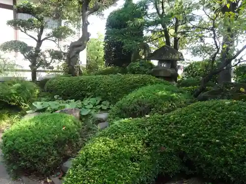 安養寺の庭園