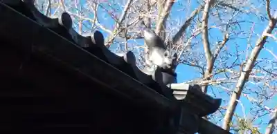 真間稲荷神社の狛犬