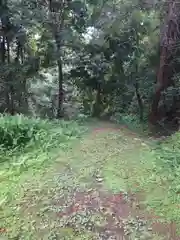 一之宮貫前神社の自然