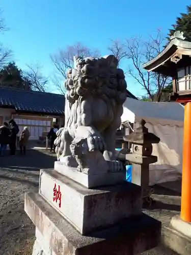 白岡八幡神社の狛犬