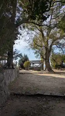 若宮八幡宮(京都府)