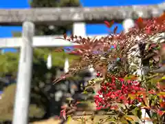 倶梨迦羅神社(長野県)