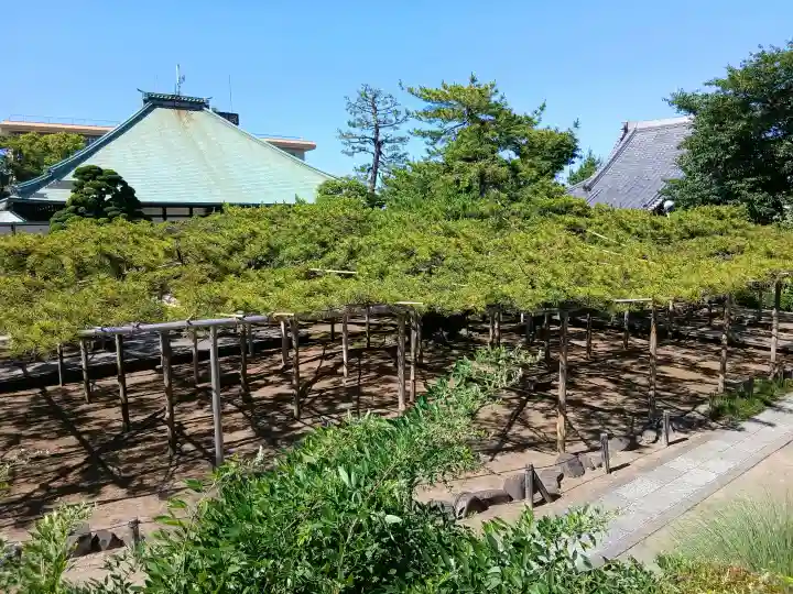 善養寺(東京都)