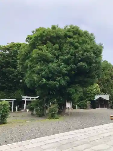 鵠沼皇大神宮（烏森神社）(神奈川県)