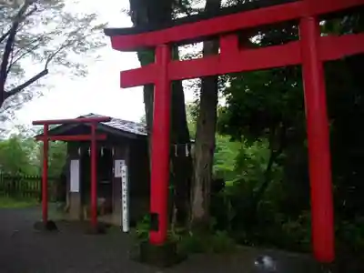 白笹稲荷神社の鳥居