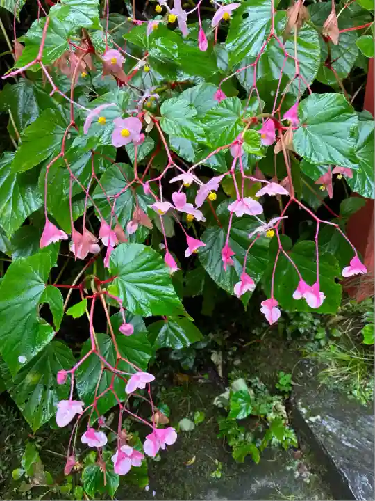 貴船神社(京都府)