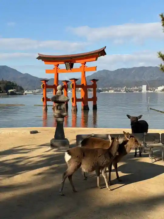 厳島神社(広島県)