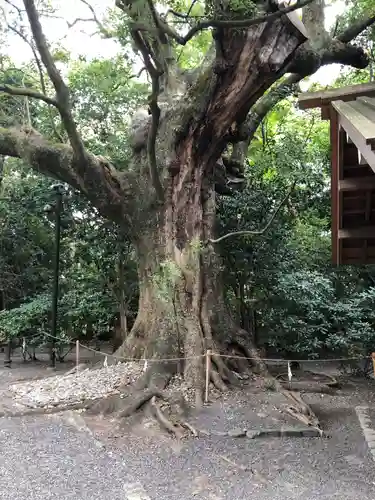 月夜見宮（豊受大神宮別宮）の自然