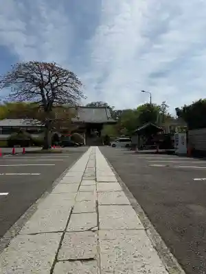 妙蓮寺の{uncategorized: "未分類", other: "その他", undefined: "問題あり", building: "その他建物", grave: "お墓", sacred_gate: "鳥居", guardian: "狛犬", statue: "像", buddha: "仏像", history: "歴史", nature: "自然", garden: "庭園", animal: "動物", pagoda: "塔", temizu: "手水舎", mountain_gate: "山門・神門", sanctuary: "本殿・本堂", subordinate: "末社・摂社", art: "芸術", scenery: "景色", jizo: "地蔵", ema: "絵馬", goshuin: "御朱印", omikuji: "おみくじ", items: "授与品その他", amulet: "お守り", goshuincho: "御朱印帳", eats: "食事", festival: "お祭り", votive_dance: "神楽", shichigosan: "七五三参", wedding: "結婚式", experience: "体験その他", initially: "初詣", around: "周辺", anti_infection: "感染症対策"}