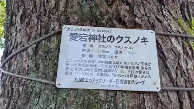 愛宕神社(愛知県)