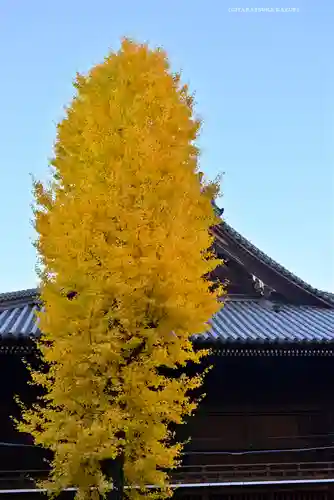 寛永寺(根本中堂)(東京都)