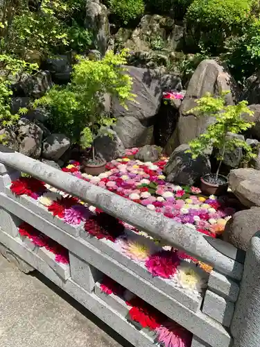 岡寺（龍蓋寺）の庭園