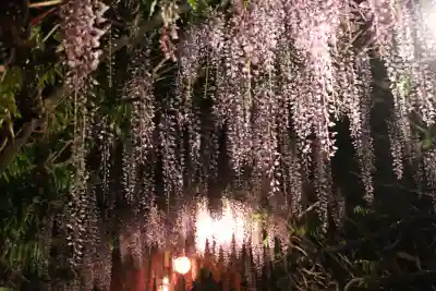中山熊野神社(福岡県)