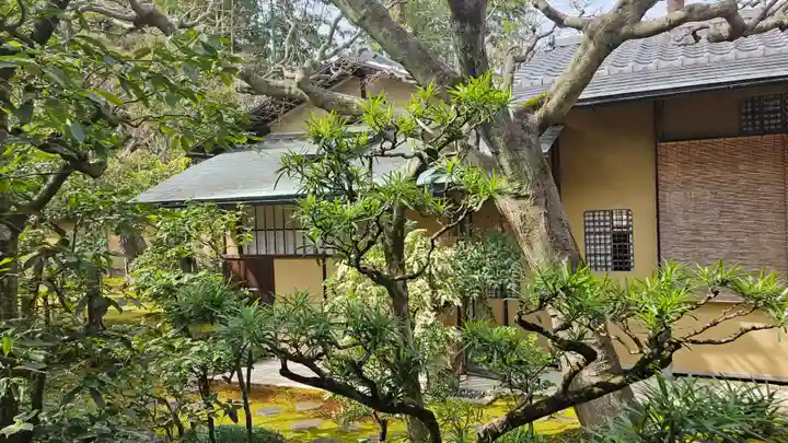 興臨院(京都府)