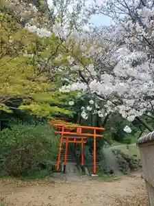 刺田比古神社(和歌山県)(2026年04月02日(木) 06時01分53秒投稿)