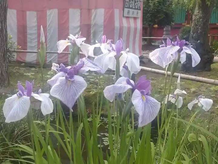 志波彦神社・鹽竈神社の自然