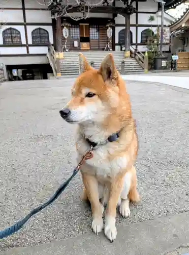 感通寺(東京都)