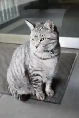 回向院(東京都)