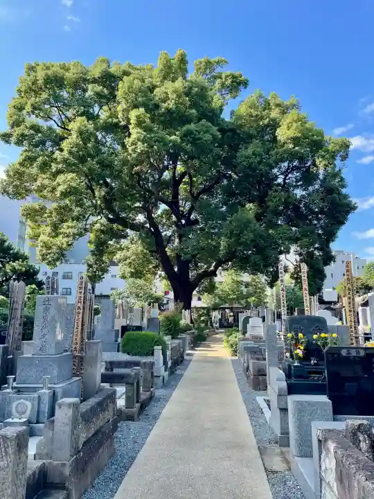 祥雲寺(東京都)