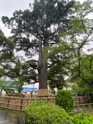 日高神社(岩手県)